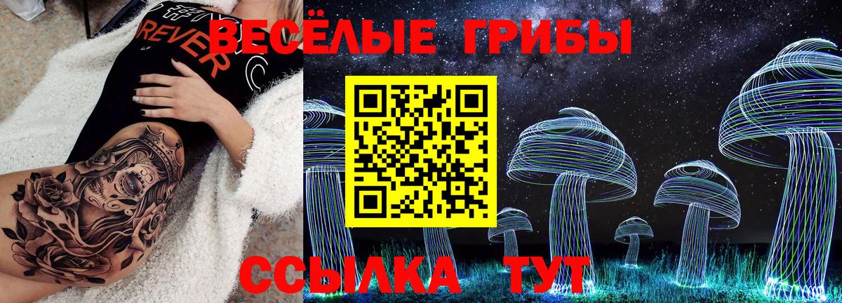 Галлюциногенные грибы прущие грибы Ногинск